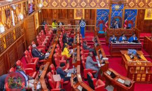 Plenary Meeting at Senate