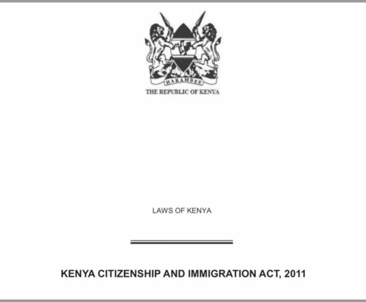 Immigration Citizenship Act 